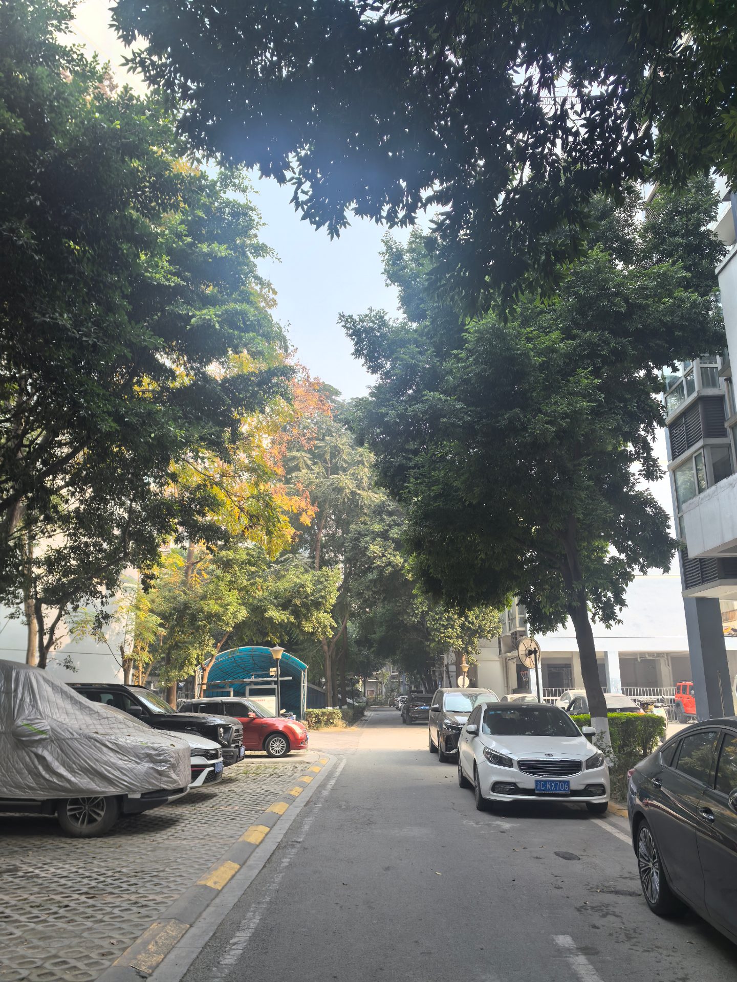 南桥新居A区房源图片缩略图3
