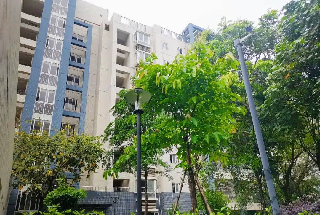 坑坪公寓房源图片缩略图3
