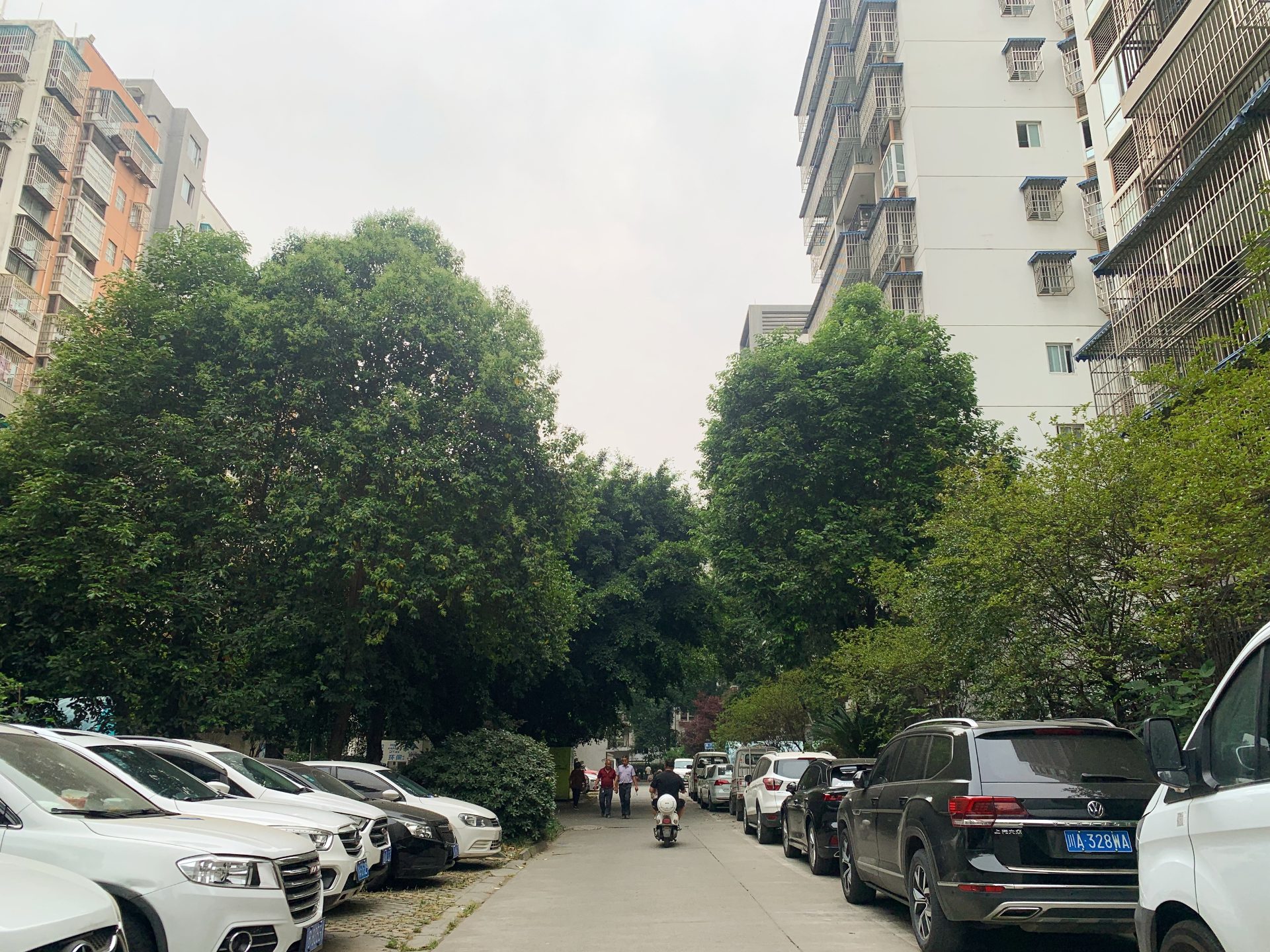 武新花园房源图片缩略图3