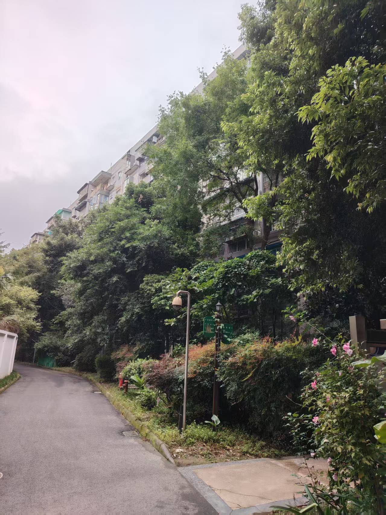 怡安花园房源图片缩略图3