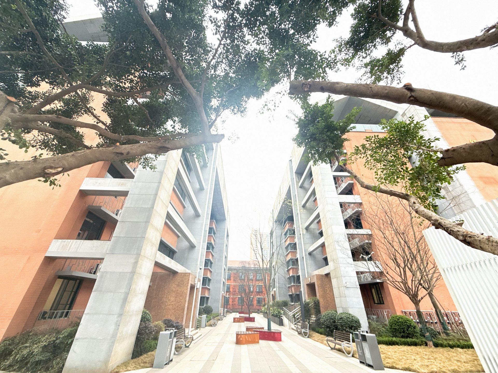 红仓华寓（东星店）房源图片缩略图2