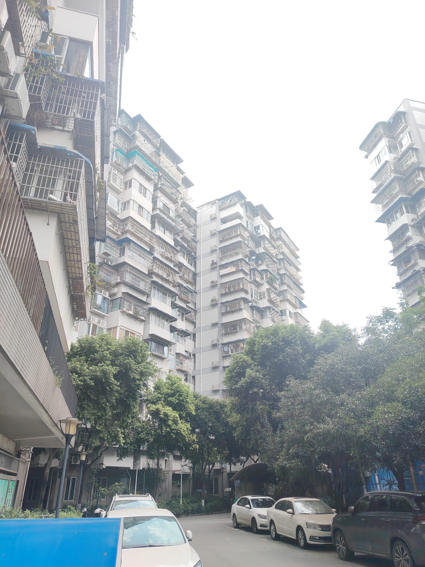沙竹苑、民乐园、园中苑项目（第二批次）房源图片缩略图4