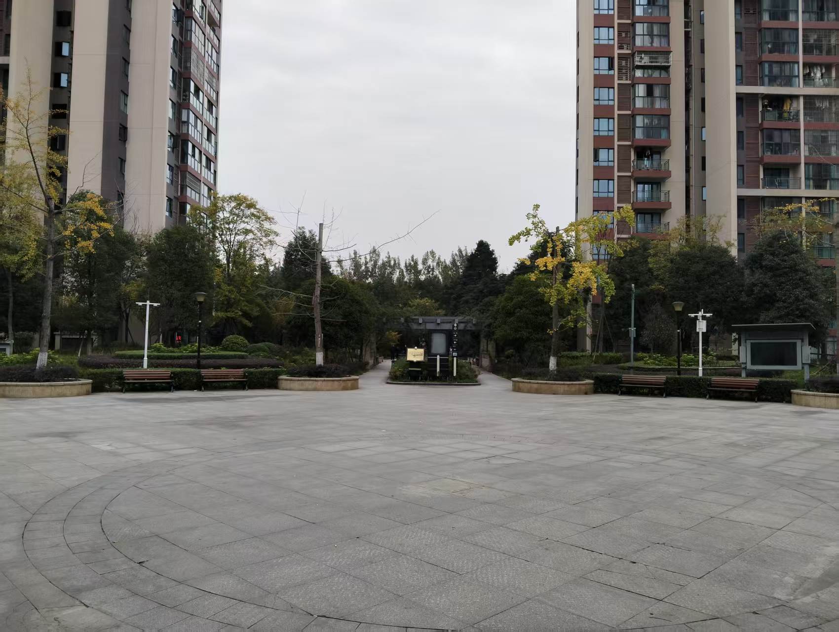 丛树家园房源图片缩略图3