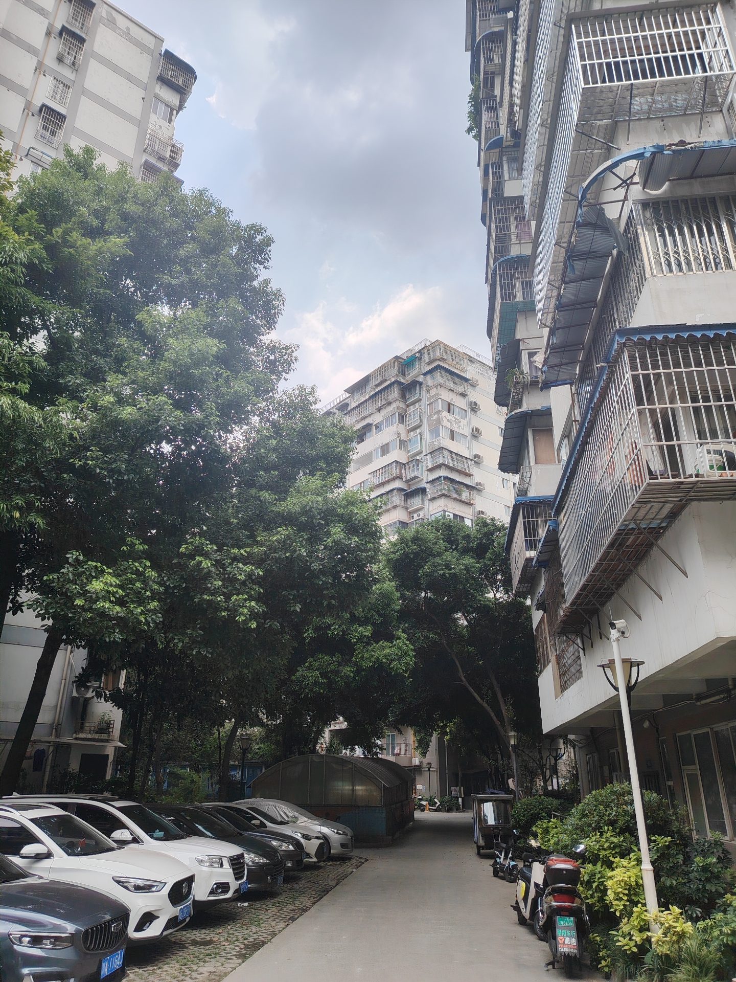 民乐园项目（第一批次）房源图片缩略图3